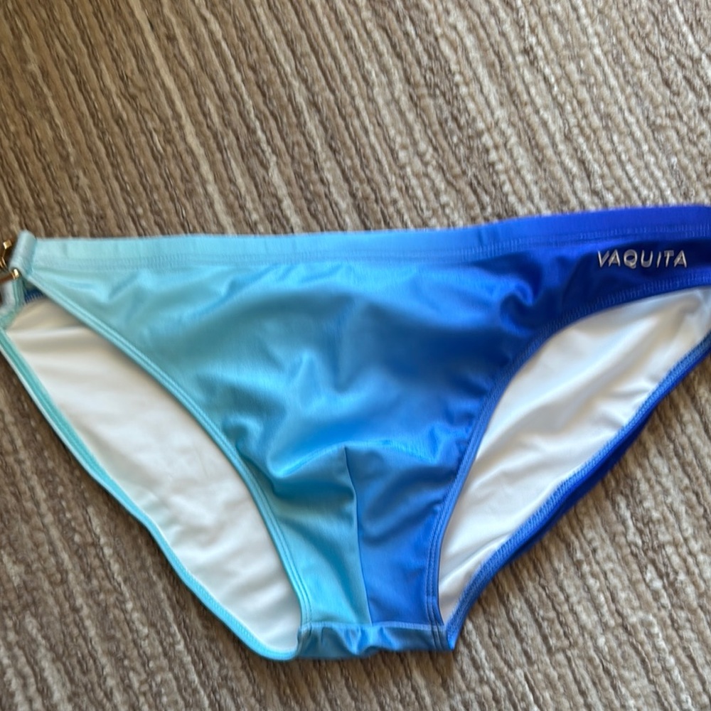 Vaquita Men’s Swim Brief in Blue